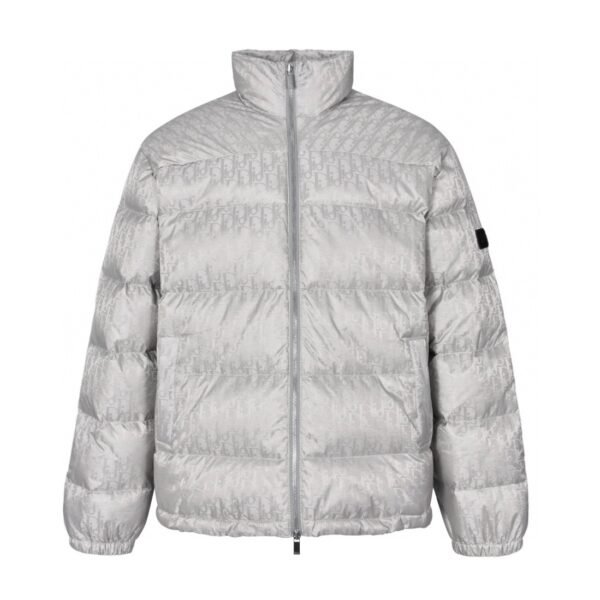 Dior 23ss Gray down jacket