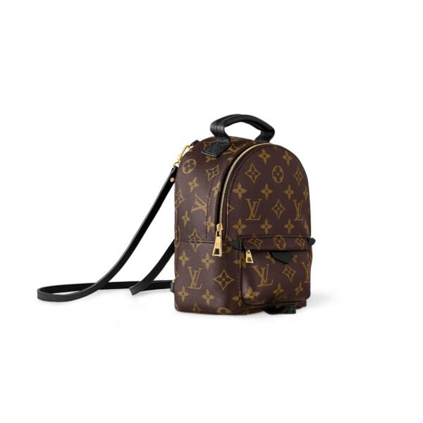 LOUIS VUITTON PALM SPRINGS MINI M44873 (22*17*10cm)