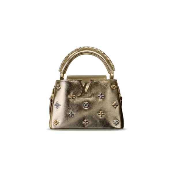M26258 LOUIS VUITTON MASTER CAPUCINES MINI  (21*13.6*8cm)