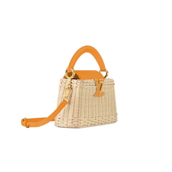 M24976 LOUIS VUITTON MASTER CAPUCINES MINI  (21*14*8cm)