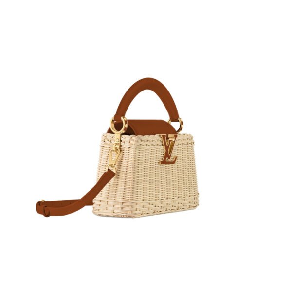 M11617 LOUIS VUITTON MASTER CAPUCINES MINI  (21*14*8cm)